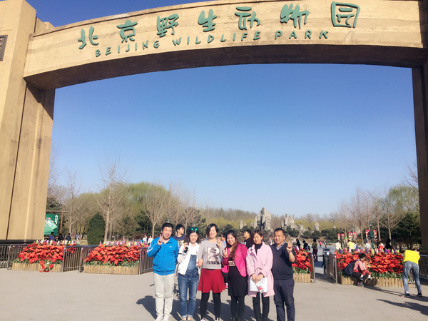 銷(xiāo)售團(tuán)隊(duì)集體活動(dòng)
